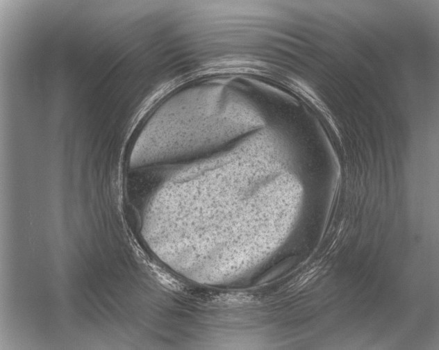 X0000054380994200508191908