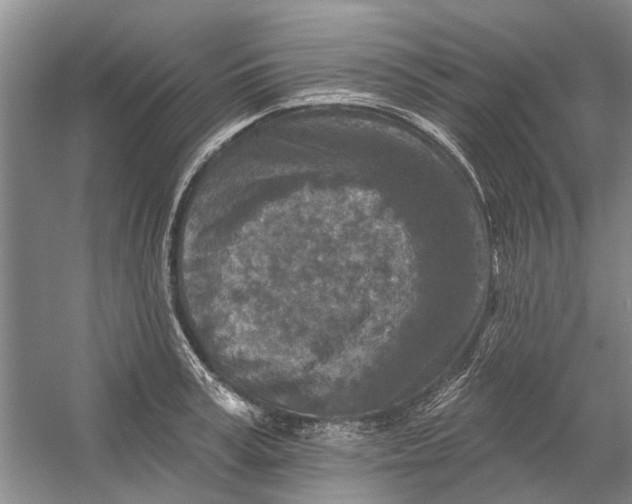 X0000054380995200508191908