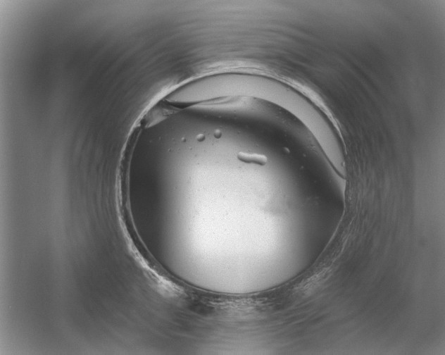 X0000054380999200508191908