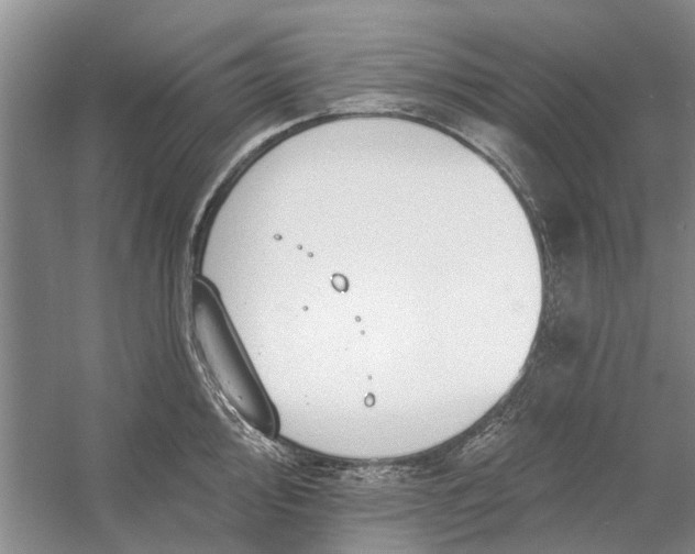 X0000054381000200508191908