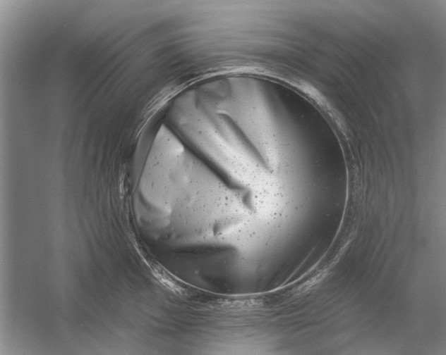 X0000054381001200508191908