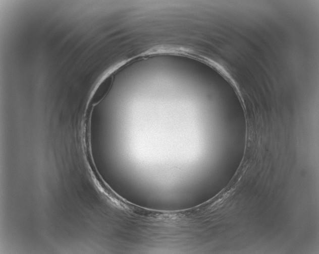 X0000054381003200508191908