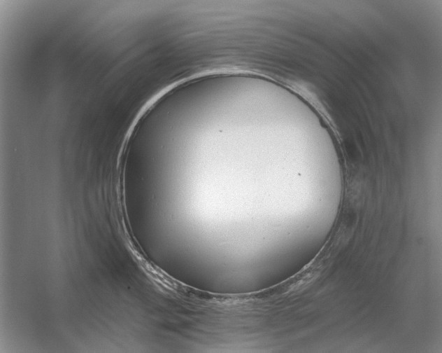 X0000054381004200508191908