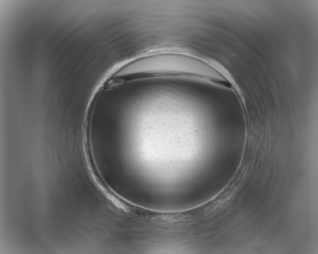 X0000054381005200508191908