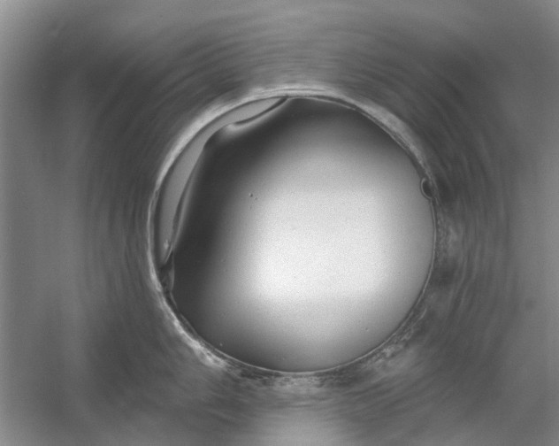 X0000054381006200508191908