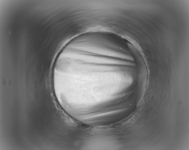 X0000054381008200508191907