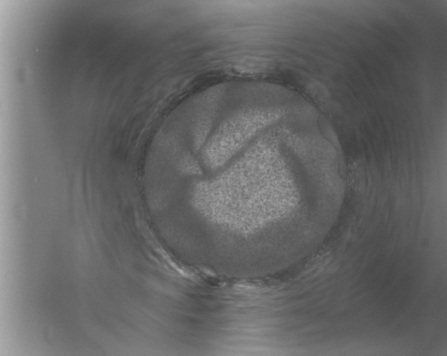 X0000054381009200508191907