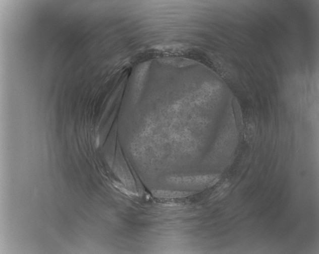 X0000054381010200508191907