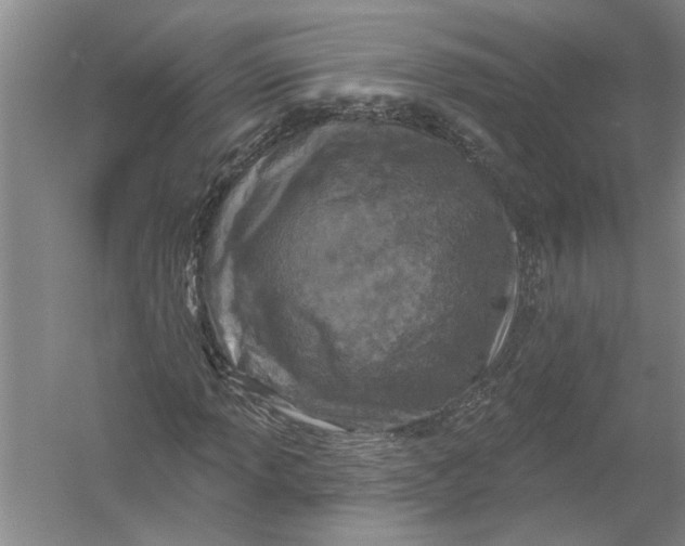 X0000054381013200508191907