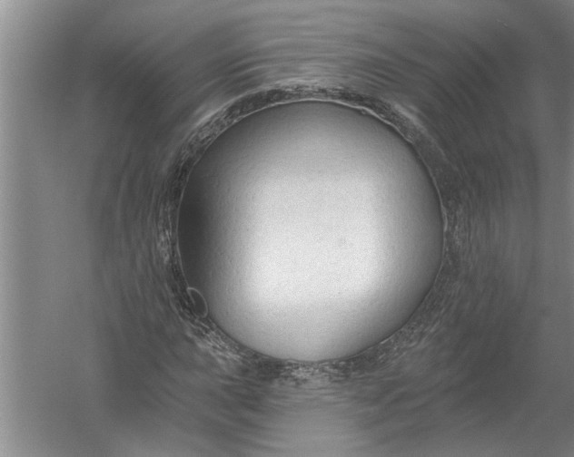 X0000054381015200508191907