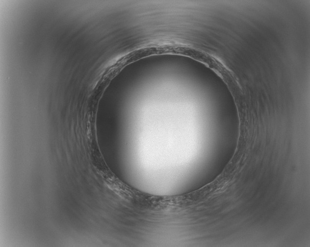 X0000054381016200508191907