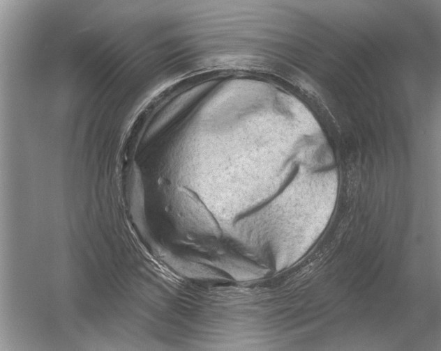 X0000054381019200508191907