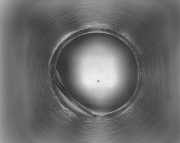 X0000054381022200508191907