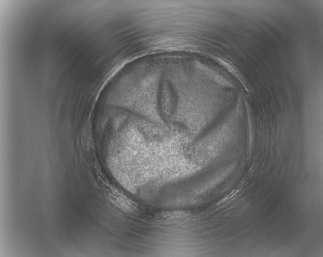 X0000054381023200508191907