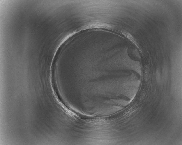 X0000054381024200508191907