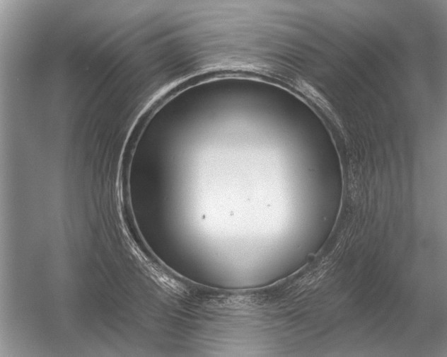 X0000054381028200508191907