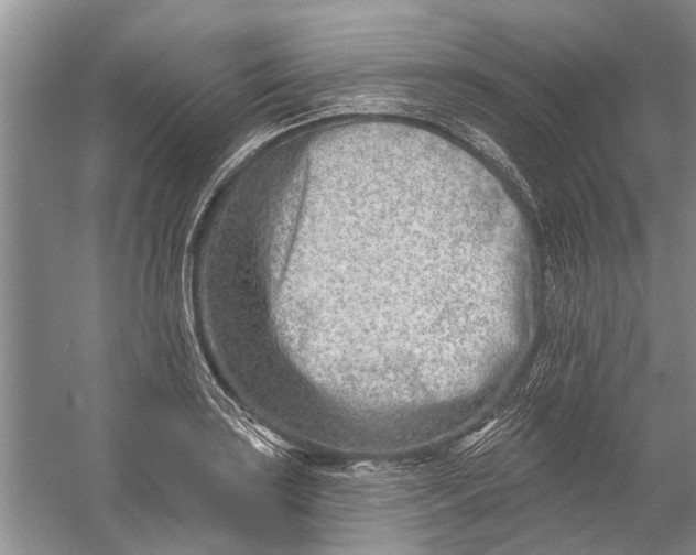 X0000054381035200508191907