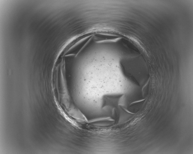 X0000054381038200508191907