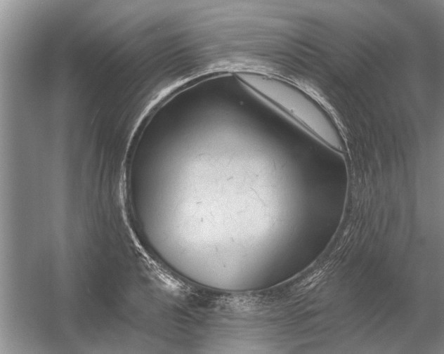 X0000054381040200508191907