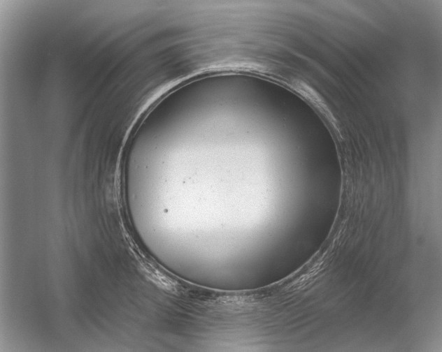 X0000054381044200508191907