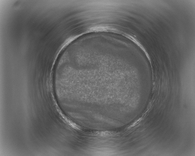 X0000054381045200508191907