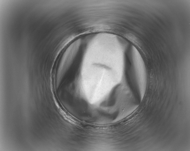 X0000054381047200508191907