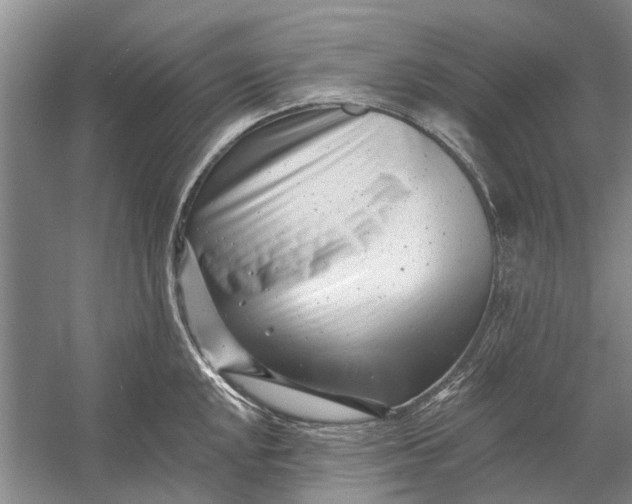 X0000054381048200508191907