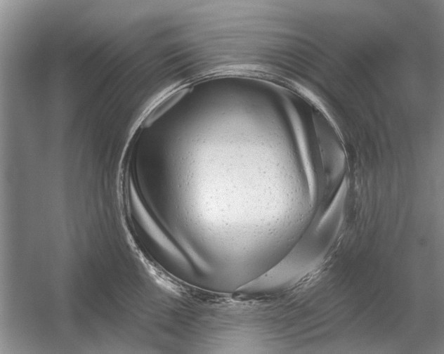 X0000054381050200508191907