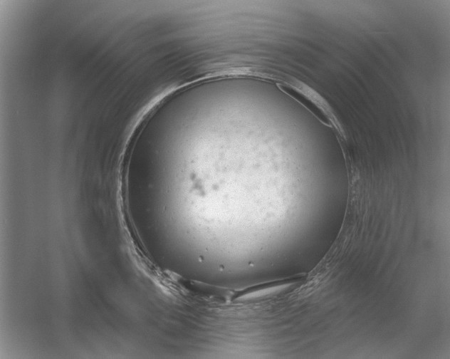 X0000054381051200508191907