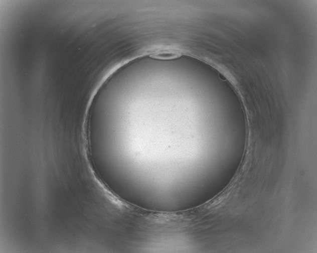 X0000054381056200508191907