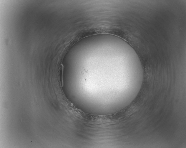 X0000054381057200508191907