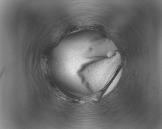 X0000054381059200508191907