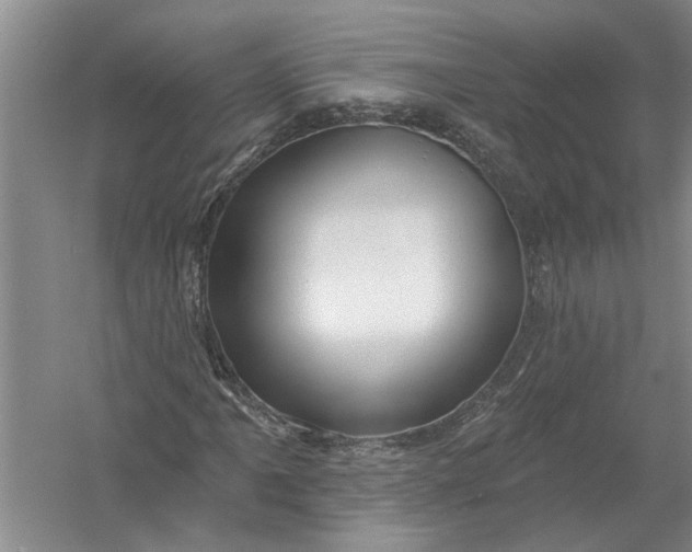 X0000054381061200508191907