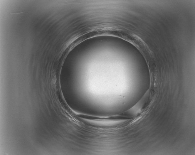 X0000054381065200508191907