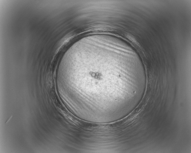 X0000054381067200508191906