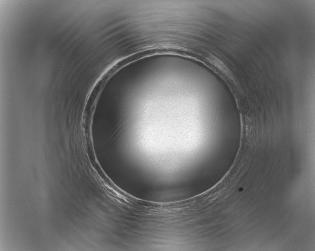 X0000054381068200508191906