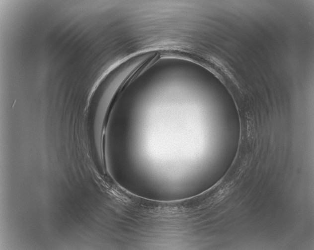 X0000054381069200508191906