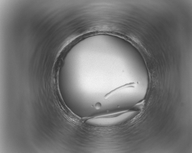 X0000054381070200508191906