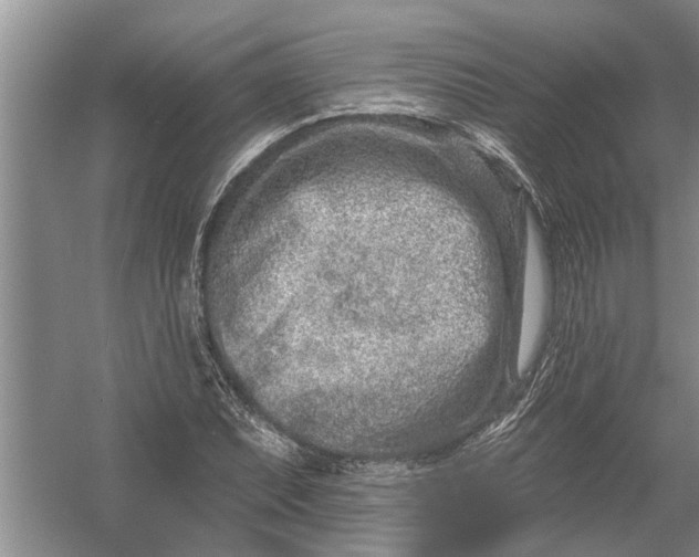 X0000054381071200508191906