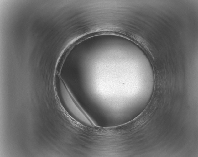 X0000054381072200508191906