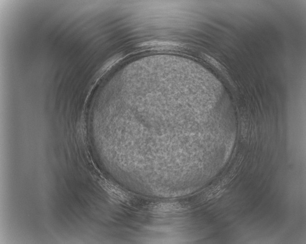 X0000054381074200508191906