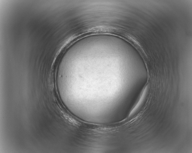 X0000054381075200508191906