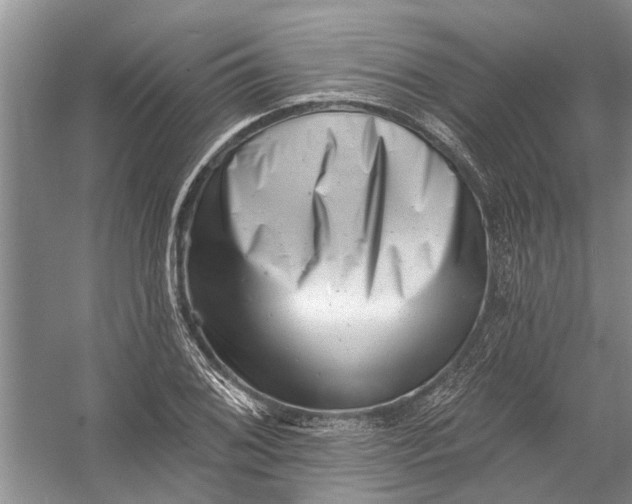 X0000054381076200508191906