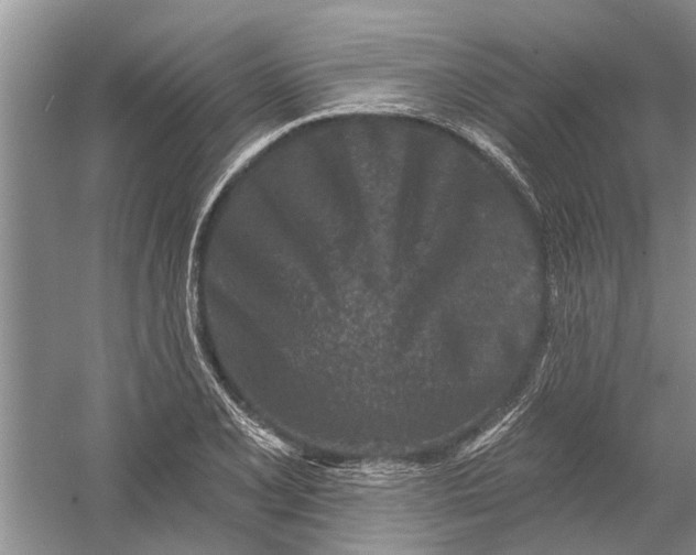 X0000054381077200508191906