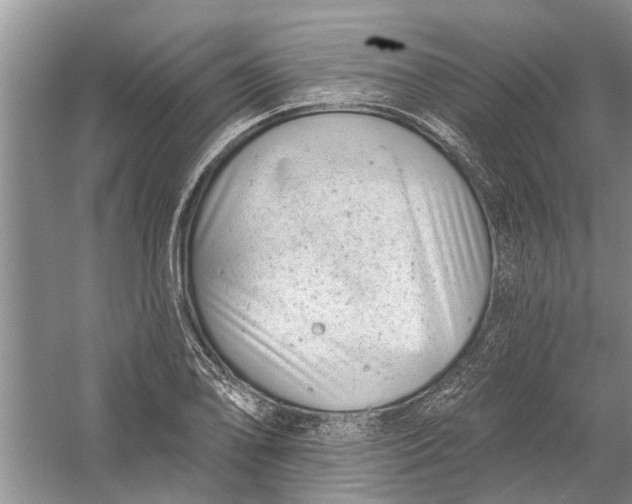 X0000054381078200508191906