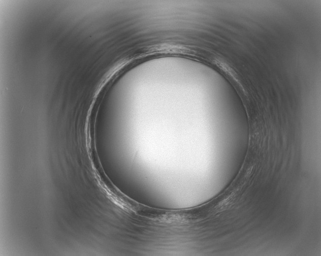 X0000054381082200508191906