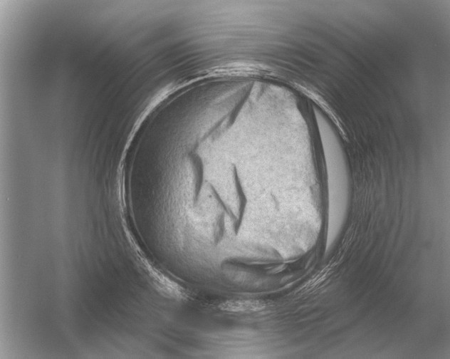 X0000054381083200508191906