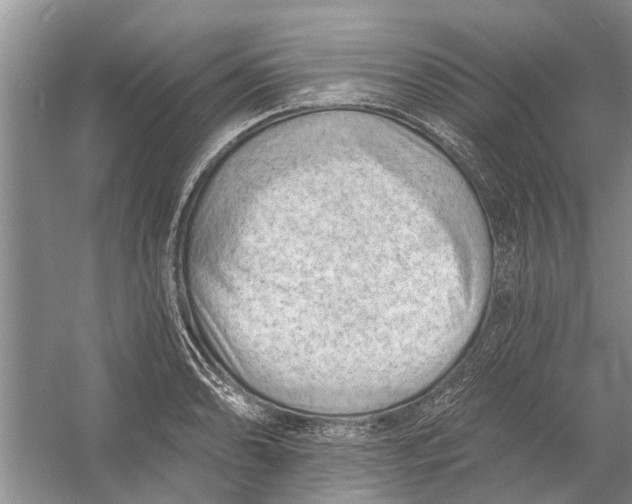 X0000054381086200508191906