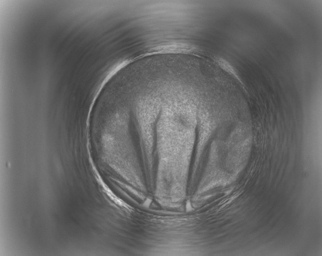 X0000054381087200508191906