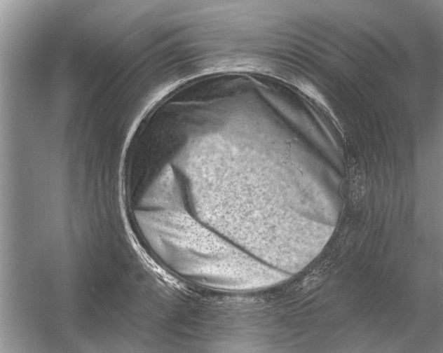 X0000054381088200508191906